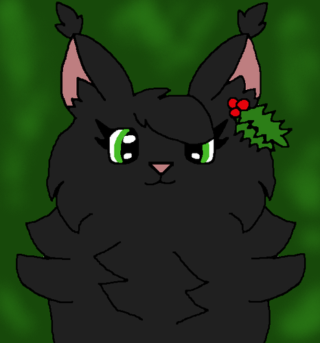 hollyleaf for drizz