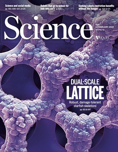 Science - Volume 375 Issue 6581, 11 February 2022