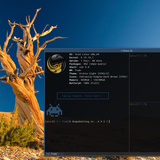 2022 02 06 1644166627