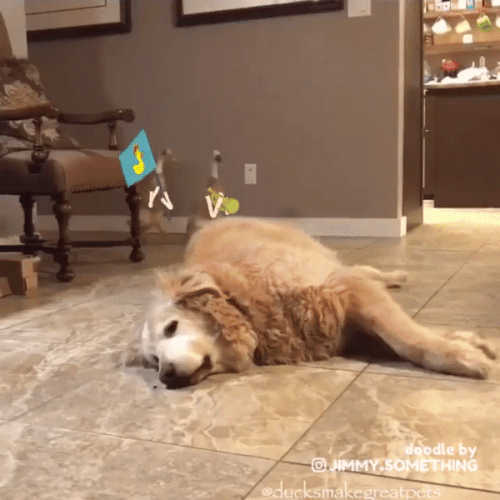 ezgif 5 a5181c4a3e.gif