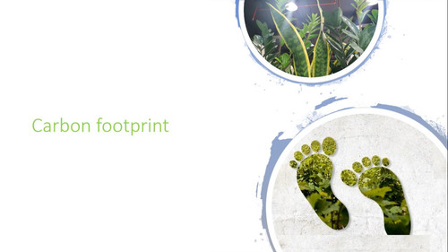 Carbon Footprint.jpg