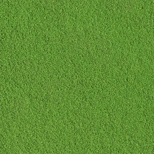 grass.jpg