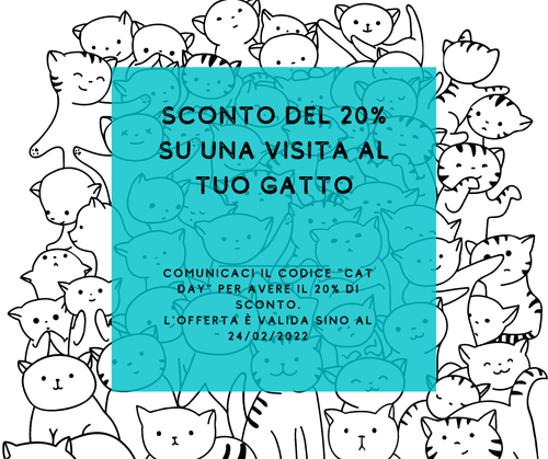 sconto del 20% su una visita al tuo gattoi.png