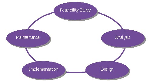 Feasibility Study.jpg
