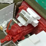 245481726 1176059592885364 7970007474558675765 n