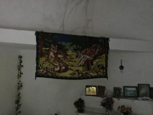 E4058BF0 FFD6 41C5 B015 73CF2884AB17.jpg