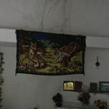 E4058BF0 FFD6 41C5 B015 73CF2884AB17