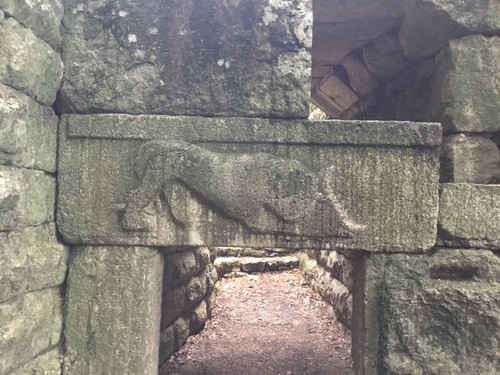 608DDB56 0E25 42D6 8551 8E643A592F6D.jpg