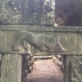 608DDB56 0E25 42D6 8551 8E643A592F6D