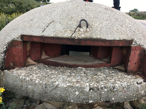 4ECC71C5 3809 4F12 AA59 EF06CA117CDB.jpg