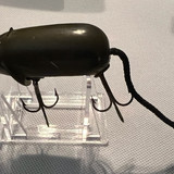 IMG 4474