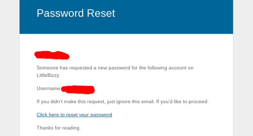 FireShot Capture 323 Password Reset jesse@littlebizzy.png