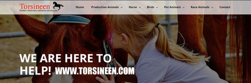 Torsineen is the best online pet medical supplies store that provides medical supplies for animals, race horse, pets, birds and camels. Visit our website for more info.


Click Here:- https://www.torsineen.com/