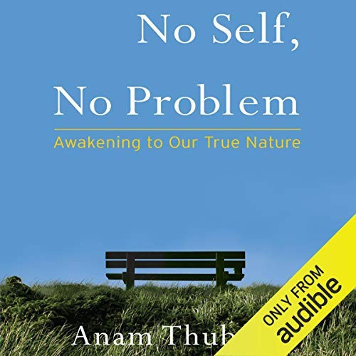 No Self, No Problem: Awakening to Our True Nature - Audiobook