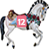 racehorse12.png