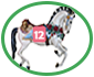 spotlight racehorse12 ellipse.png