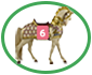 spotlight racehorse06 ellipse.png