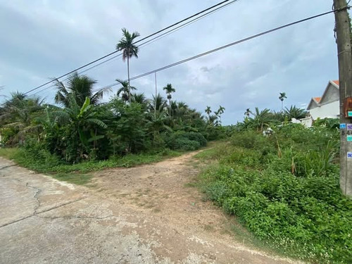 468616790 1122479952822148 7611849770035348299 n.jpg