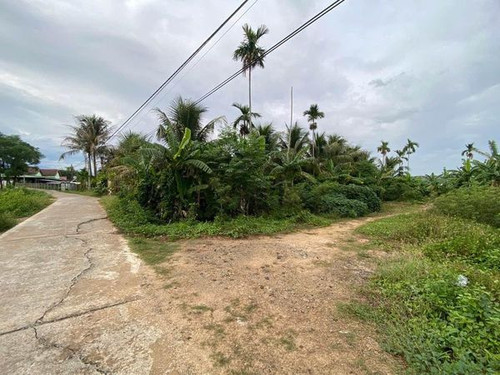 468578929 1122479962822147 6332452439520025958 n.jpg