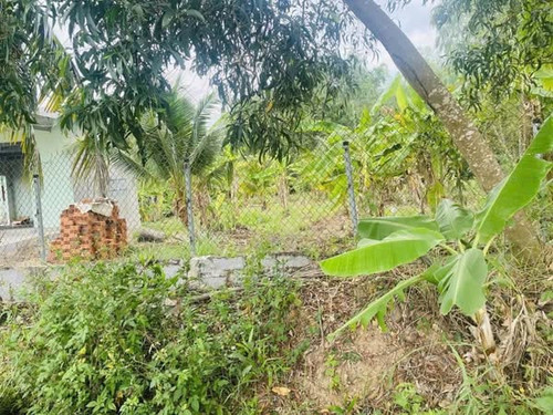 468499693 2153256588402423 7190602235115398121 n.jpg