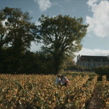 Widow.Clicquot.2023.1080p.AMZN.WEB DL.CZ EN.x264 BYNDR.mkv snapshot 00.18.49 [2024.12.01 08.23.48]