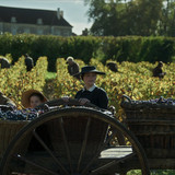 Widow.Clicquot.2023.1080p.AMZN.WEB DL.CZ EN.x264 BYNDR.mkv snapshot 00.29.29 [2024.12.01 08.23.56]