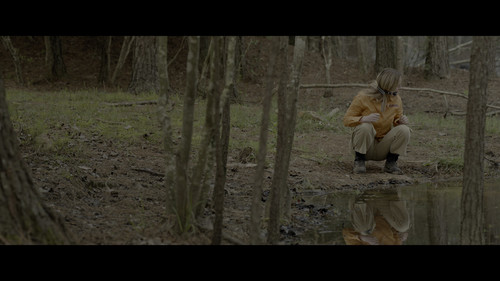 The.Hunt.2020.2160p.MA.WEB DL.CZ SK EN.HDR.DV.HEVC VD0N.mkv snapshot 00.08.08 [2024.12.01 09.20.43].jpg