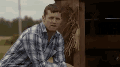 letterkenny outstanding.gif