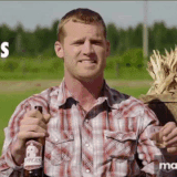 letterkenny yes