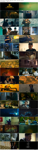 Customs.Frontline.2024.BluRay.1080p.2Audio.TrueHD.7.1.x265.10bit beAst preview.jpg