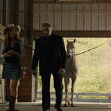 Tulsa.King.S02E01.Back.in.the.Saddle.2160p.AMZN.WEB DL.CZ EN.DDP5.1.H.265 NTb.mkv snapshot 19.55 [20