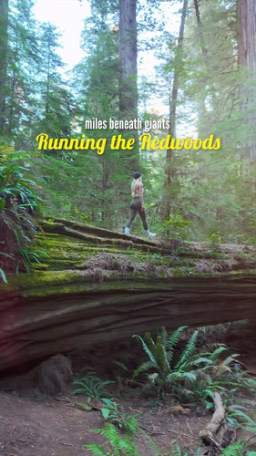 461075931 1445829329434576 2407402517180469931 n