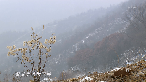 中华姓氏传奇.Zhong.Hua.Xing.Shi.Chuan.Qi.S01E01.2022.2160p.WEB DL.H265.AAC HHWEB.mp4 20241130 203317.826.png