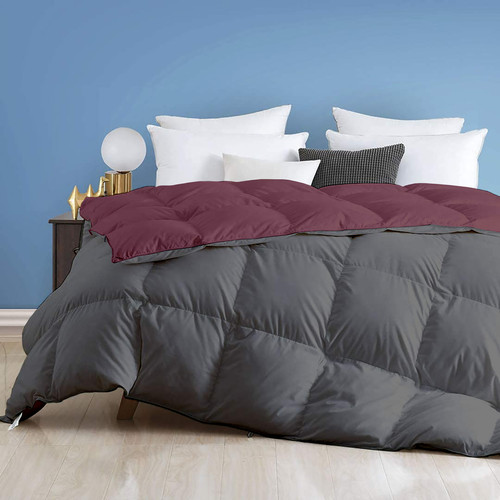 Wine Dark Grey (1).jpg