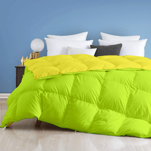 Parrot Venilla Yellow (2).jpg