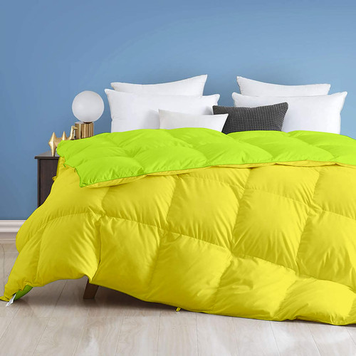 Parrot Venilla Yellow (1).jpg
