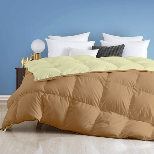 Beige Ivory (2).jpg