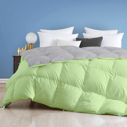 Lime Silver (2).jpg