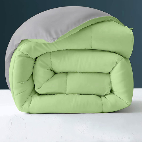 Lime Silver (4).jpg