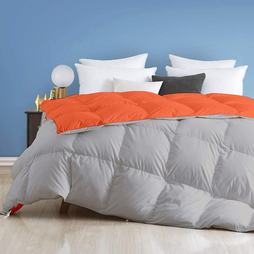 Orange Silver (1).jpg