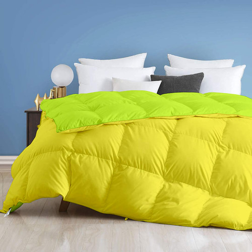 Parrot Venilla Yellow (1).jpg