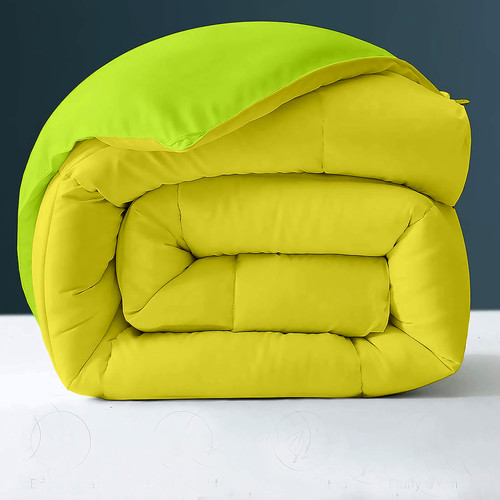 Parrot Venilla Yellow (3).jpg