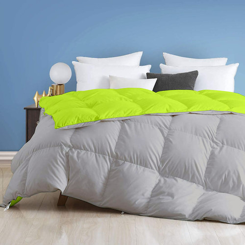Parrot Silver (1).jpg