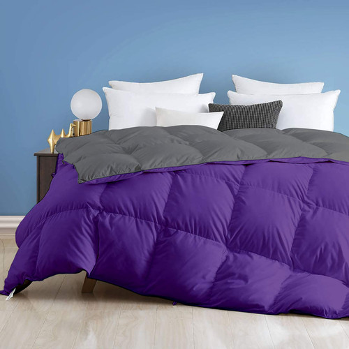 Purple Dark Grey (2).jpg
