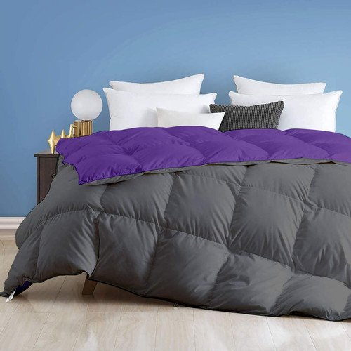 Purple Dark Grey (1).jpg