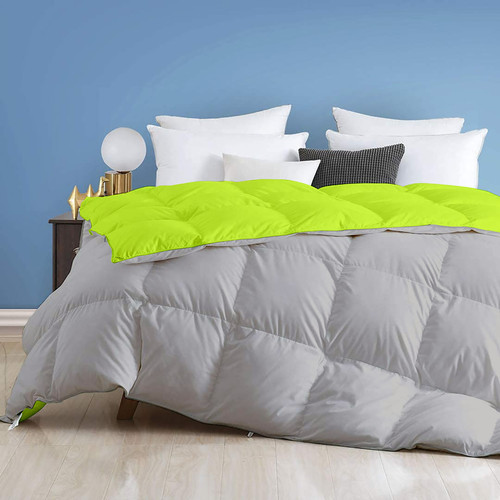 Parrot Silver (1).jpg