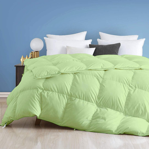Lime (1).jpg