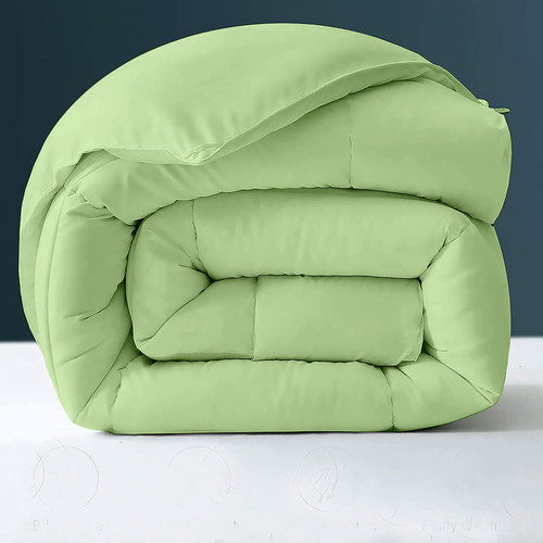 Lime (2).jpg