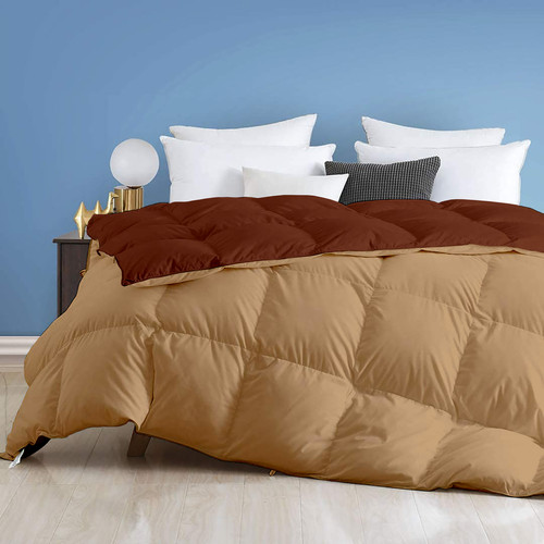 Beige Brown (2).jpg