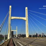 00008 重陽大橋